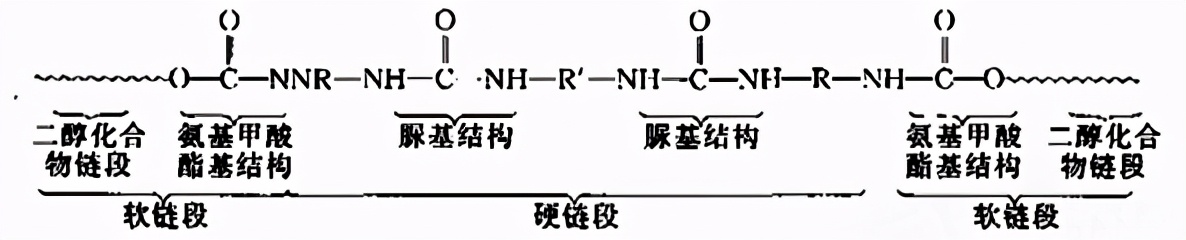 常见的氨纶有什么来头？