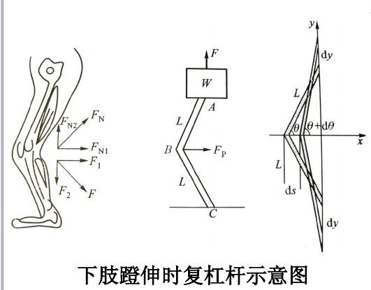 蹬地、顶髋是同一个动作