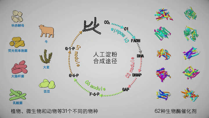 二氧化碳不仅能造淀粉，还能造酒，而且造法更简单