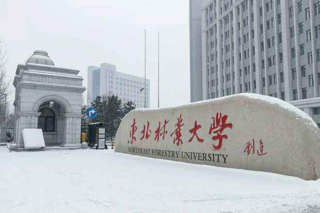 湖南林业大学（最新中国林业大学排名）