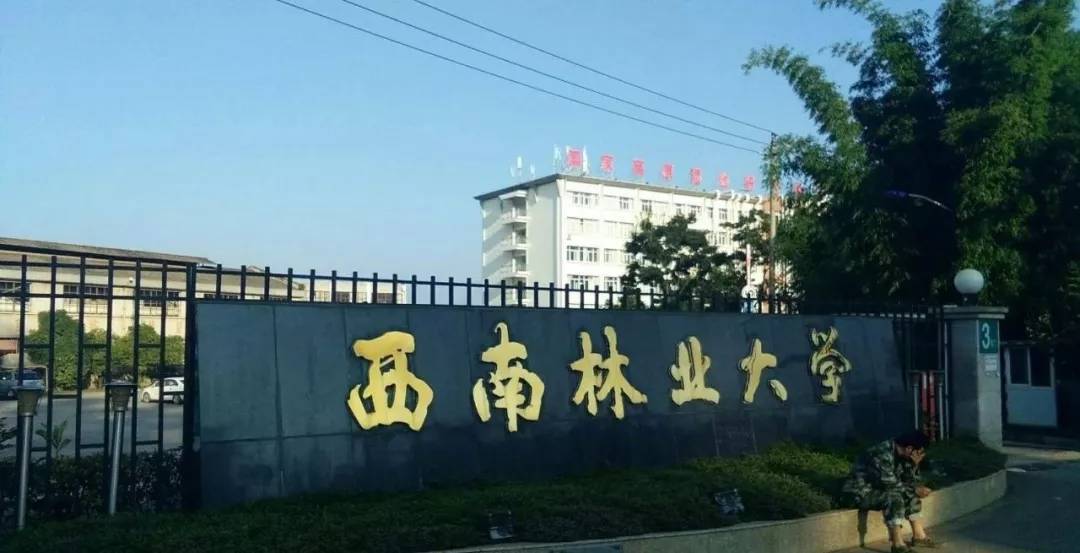 湖南林业大学（最新中国林业大学排名）