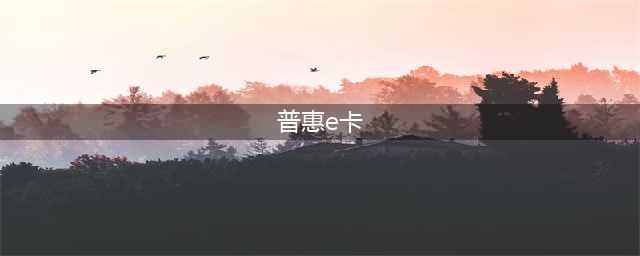 惠普e卡是什么东西(普惠e卡)