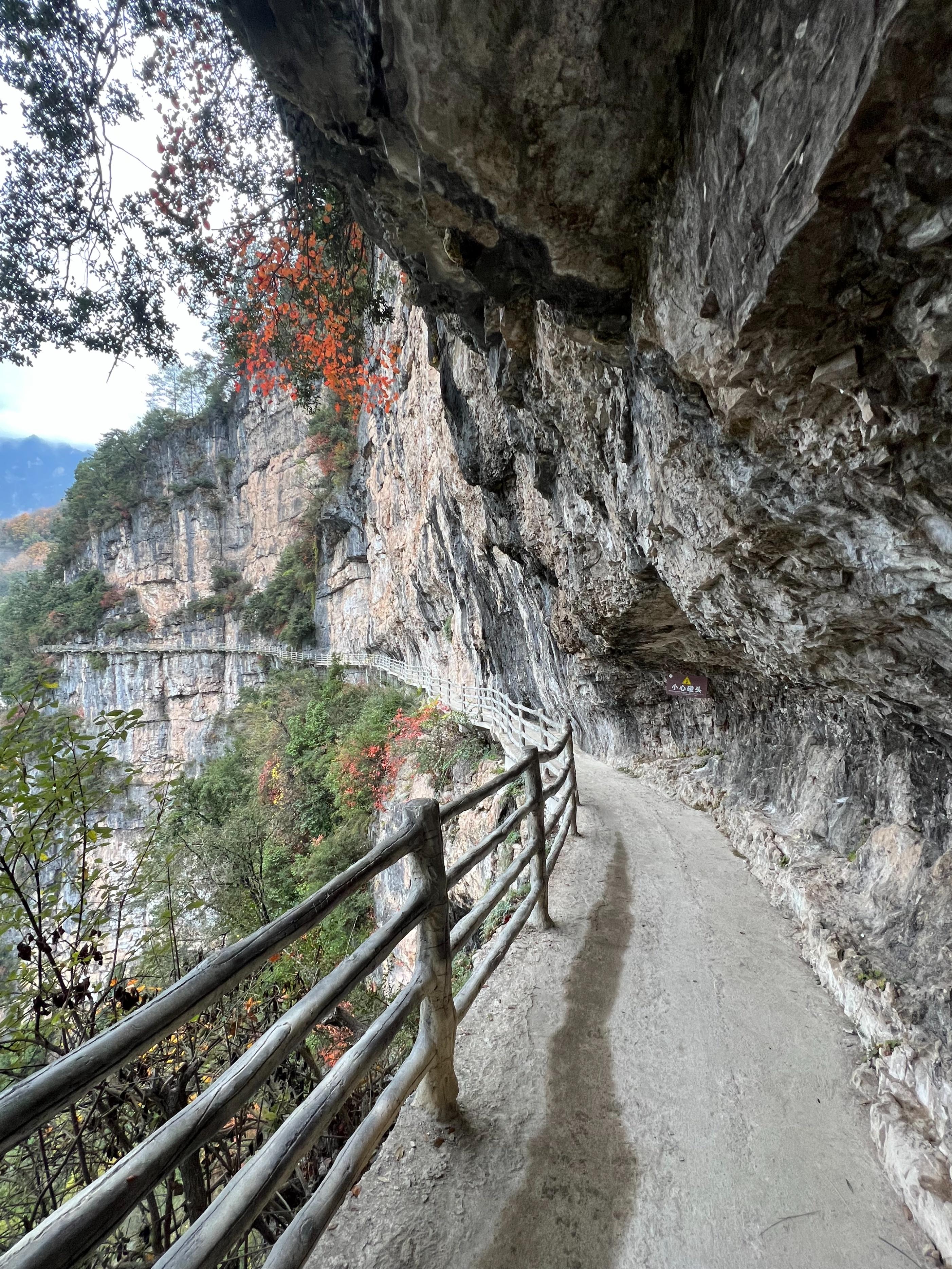 光雾山旅游攻略（路线选择与住宿安排）