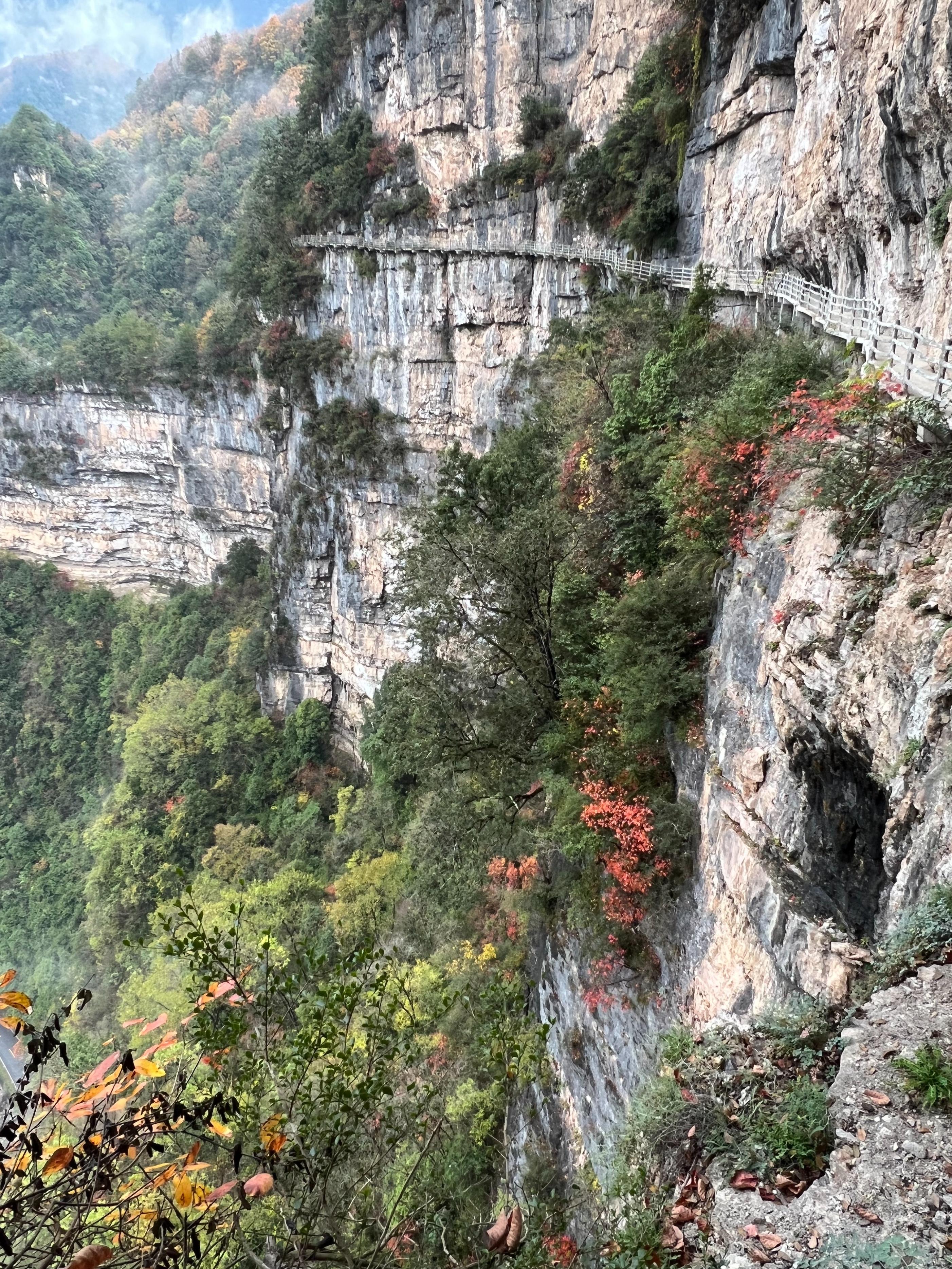 光雾山旅游攻略（路线选择与住宿安排）