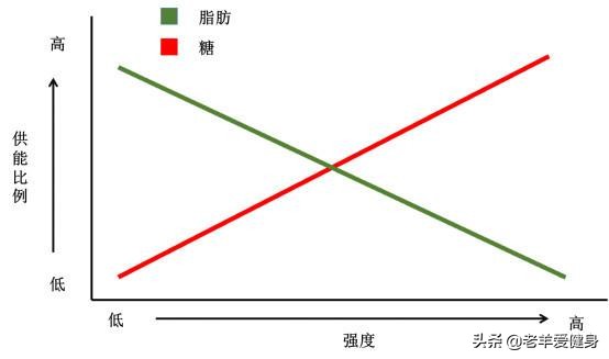 饿肚子的时候是在消耗脂肪吗？