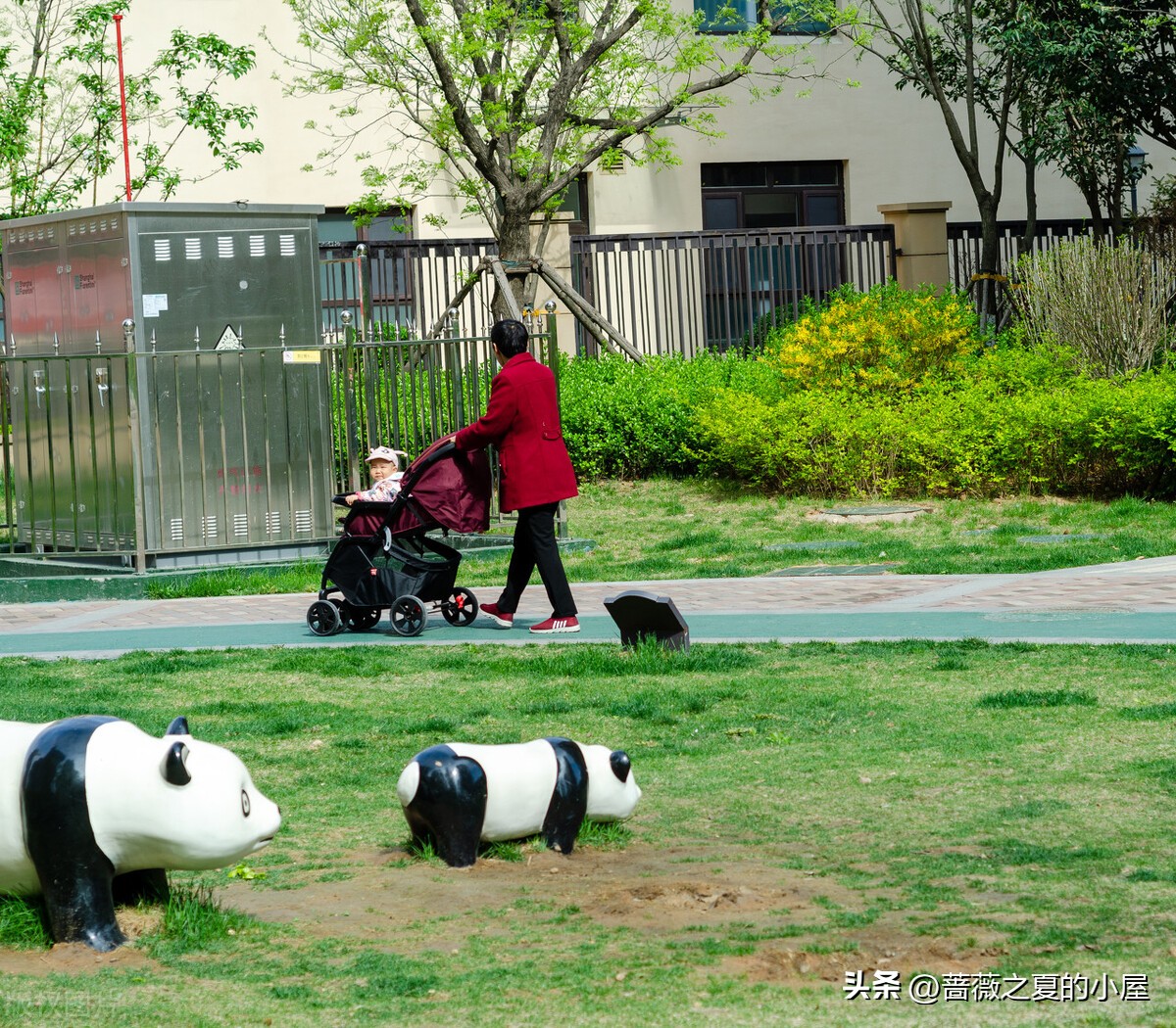 帮女儿带了七年外孙，现在成冤家，该怎么解决？