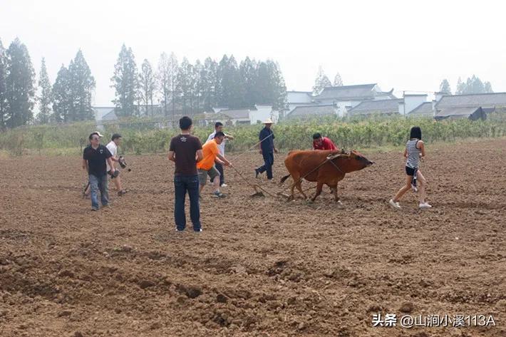 为什么中国人口减少，35岁现象却越来越严重？普通人该怎么办？