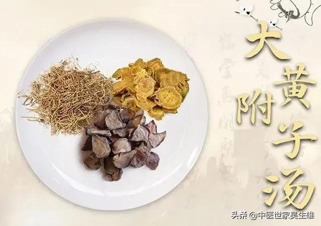 附子细辛(大黄附子细辛汤的适应证及辨证要点)