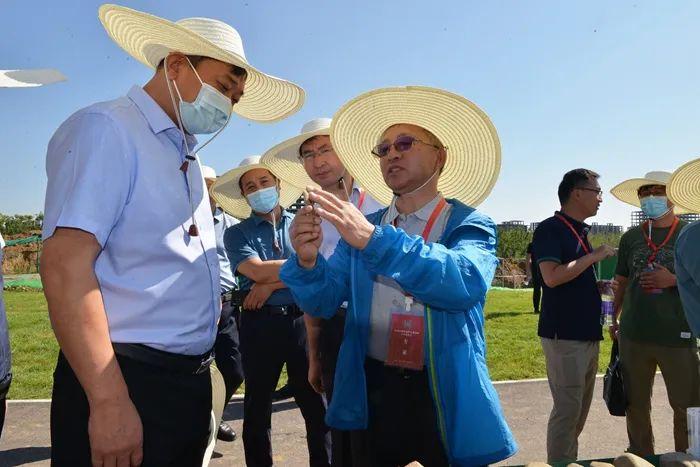 河南汝州温泉(汝州举行温泉旧石器遗址专家论证会)