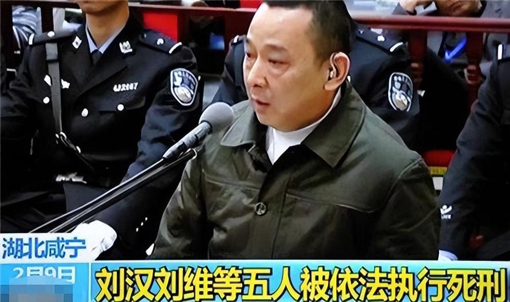 刘汉被抓(刘汉家族覆灭记：非法敛财400亿，被抓时扬言湖北办不了他)