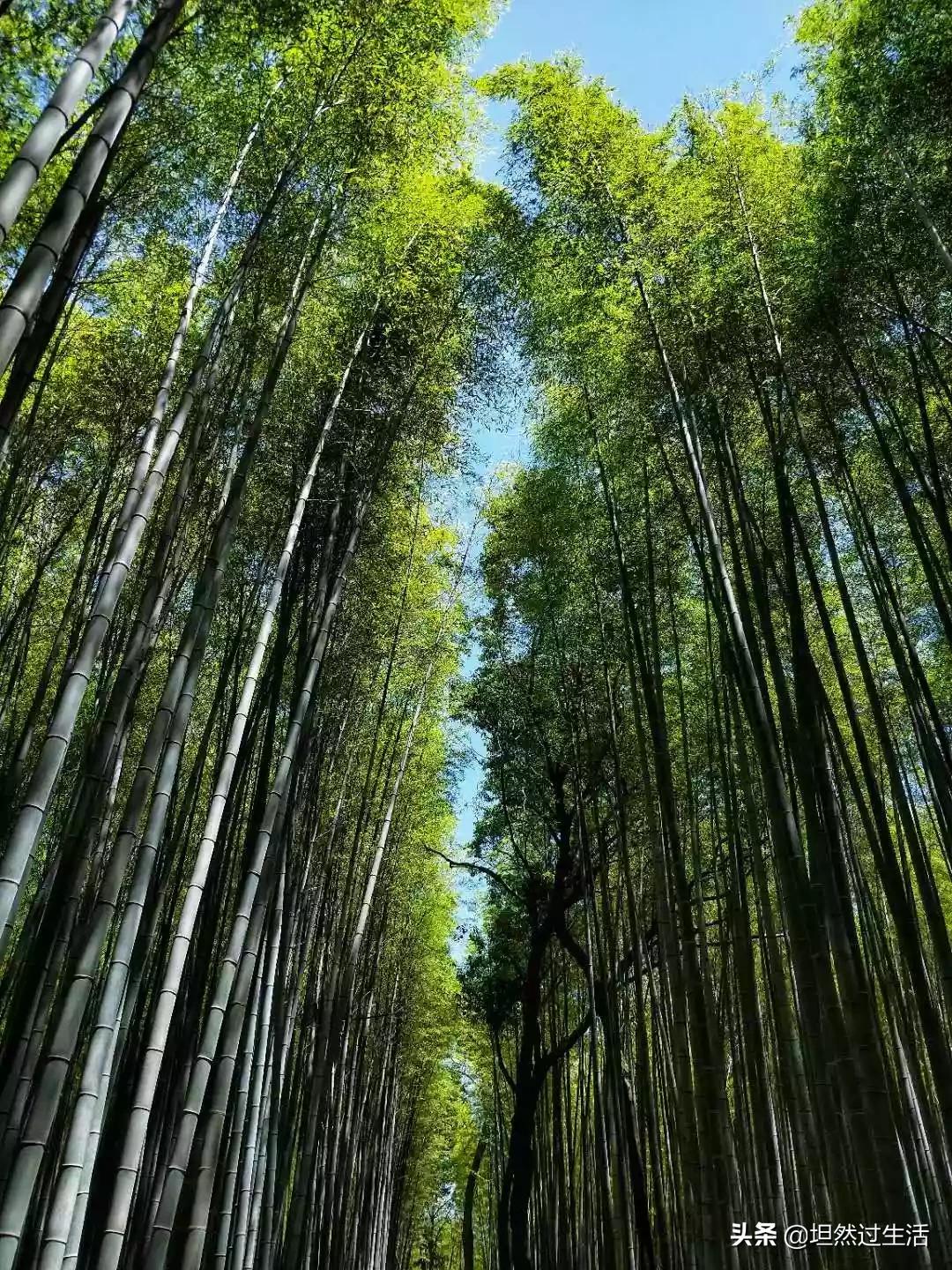 请用一张自己拍的风景照来打败我？