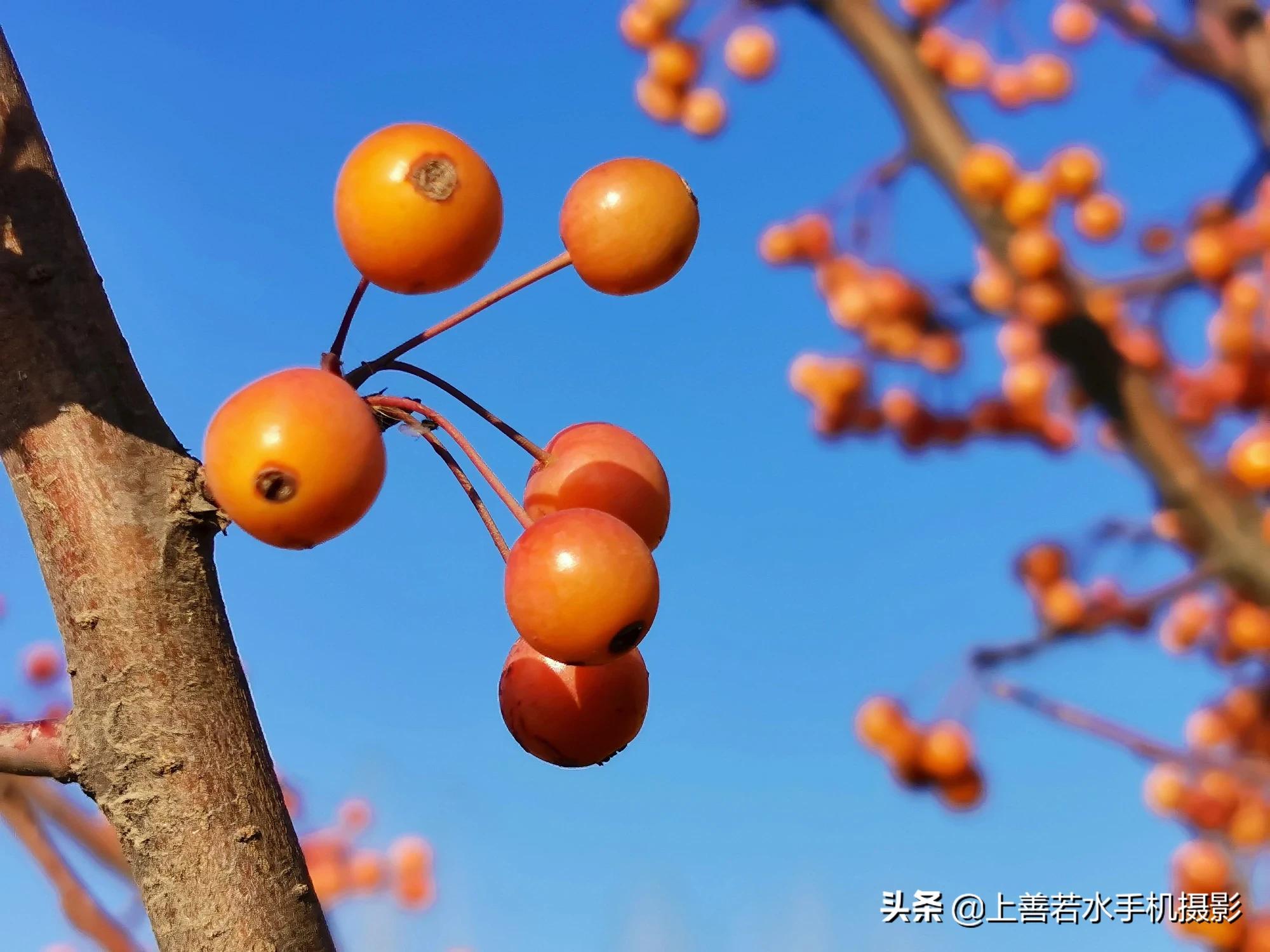 请用一张自己拍的风景照来打败我？