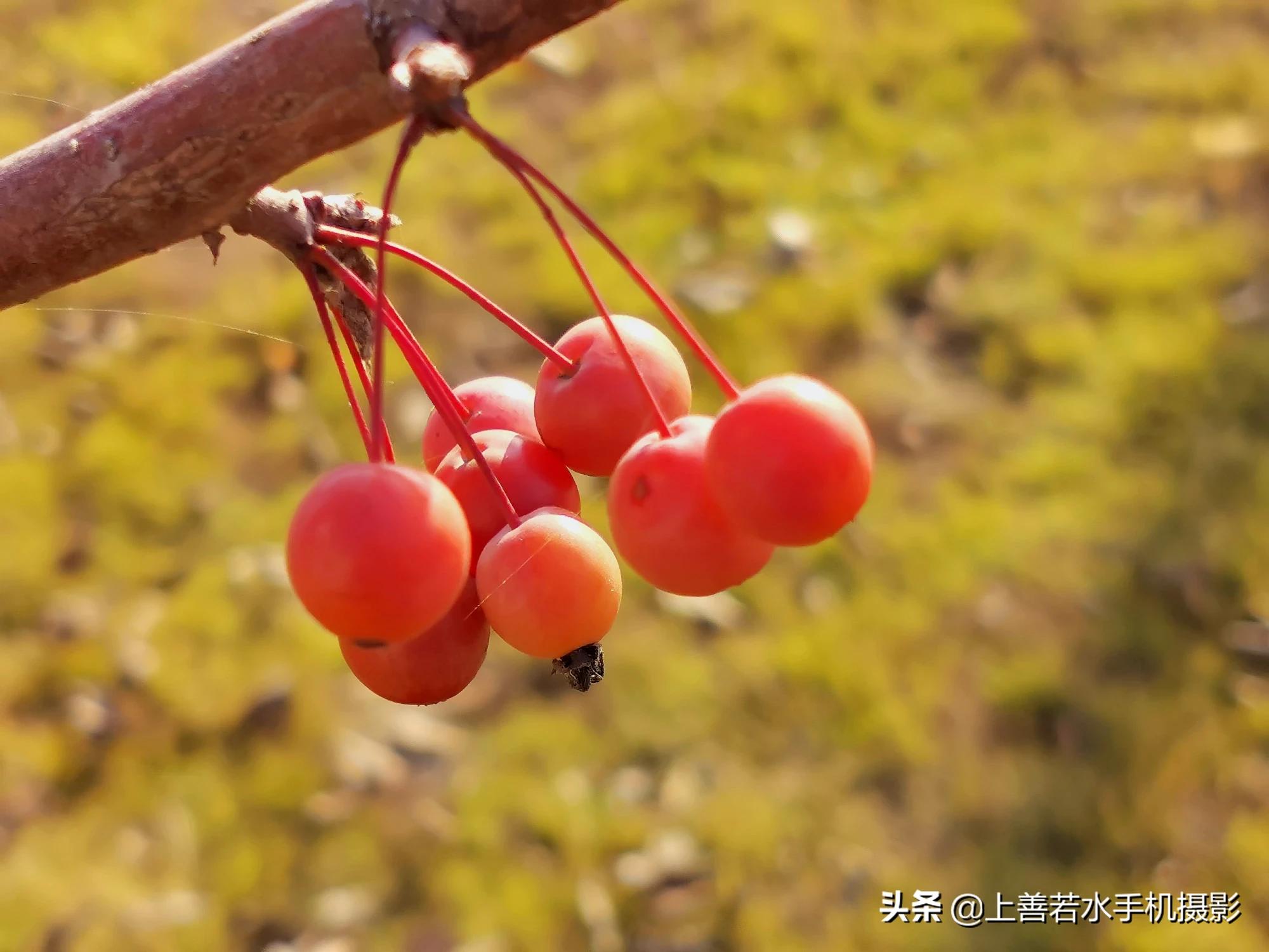 请用一张自己拍的风景照来打败我？