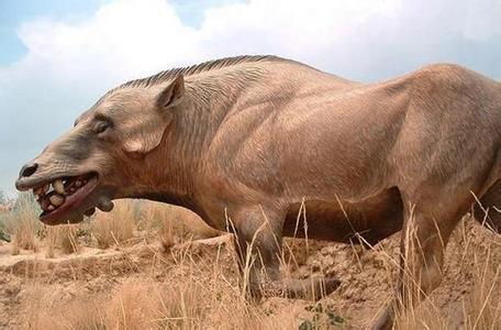 奥特瓦类生物(世界上存在过哪些奇特的古生物？)