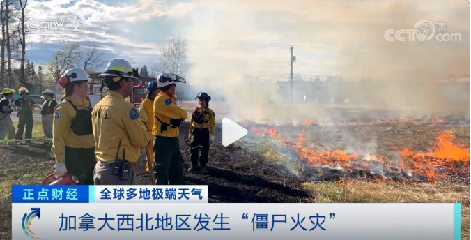 加拿大大火(加拿大森林大火未灭，又发生极地特有“僵尸火灾”)