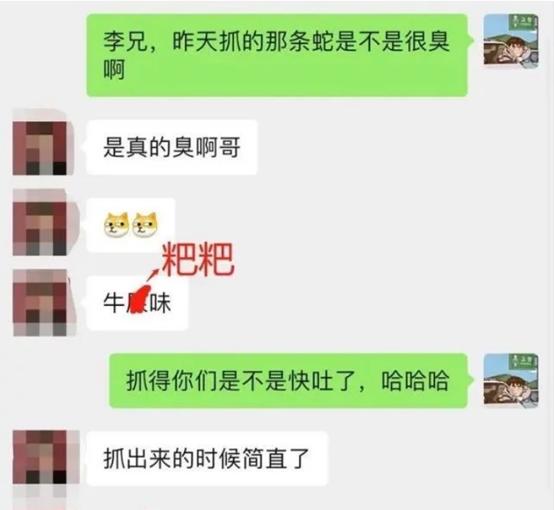 毒蛇为什么怕大王蛇(菜花蛇无毒，凭什么是百蛇之王)