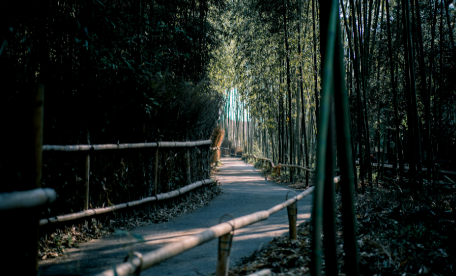 清风吹散(空山染及一青绿，清风吹散世间忧)