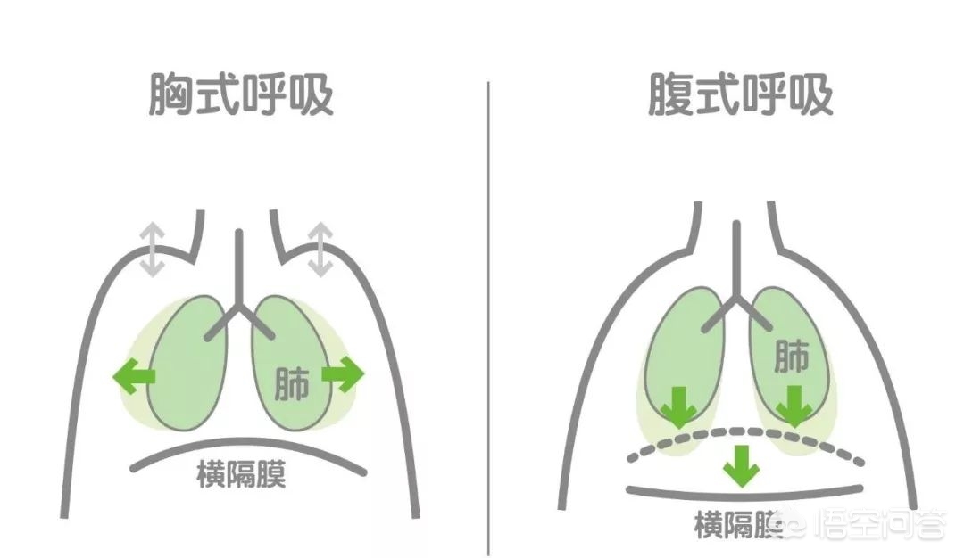 平板支撑正确姿势(练平板支撑的正确姿势是什么？)