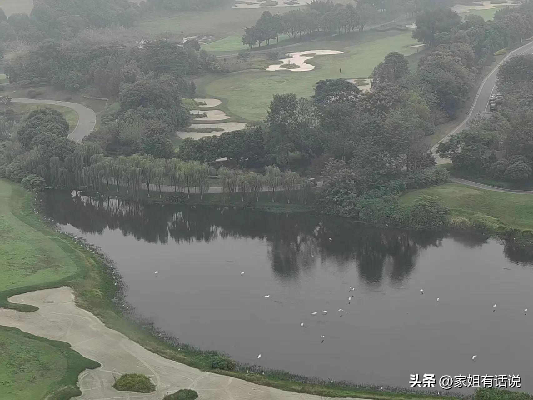 11楼高层4层买后悔了(当初买了四楼的你，后悔了吗？为何？)