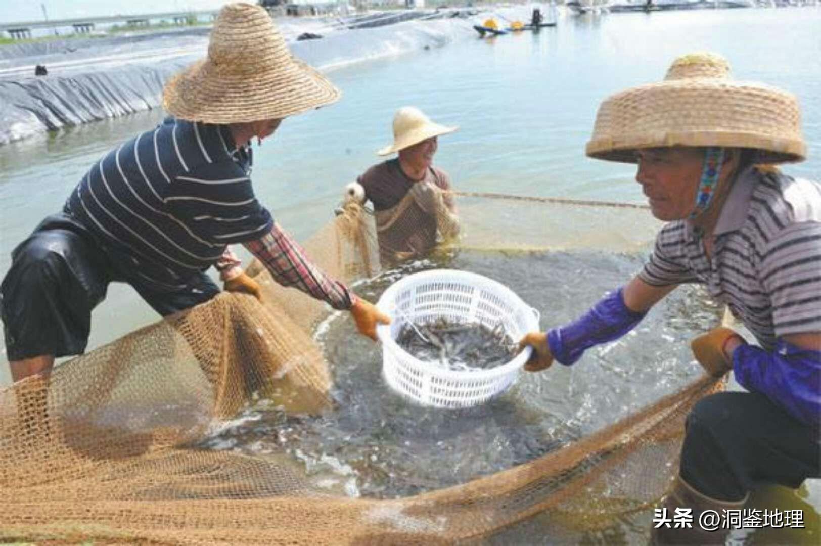 浮水洲岛(以借为名，最终却被越南强占，我国还有机会收回浮水洲岛吗？)