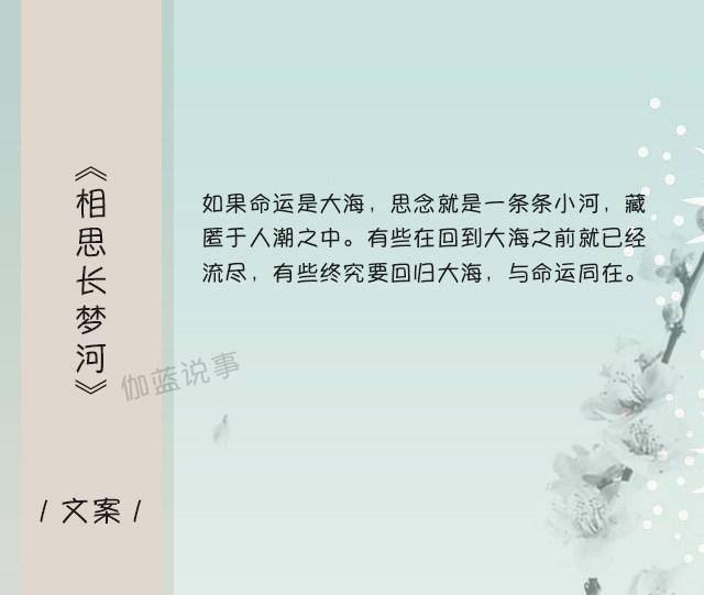 师生恋言情小说(推荐四本经典师生恋言情小说)