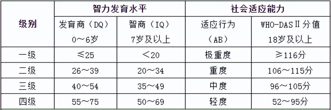 残疾人残疾分类和分级(残疾人残疾分类和分级国家标准（智力篇）)