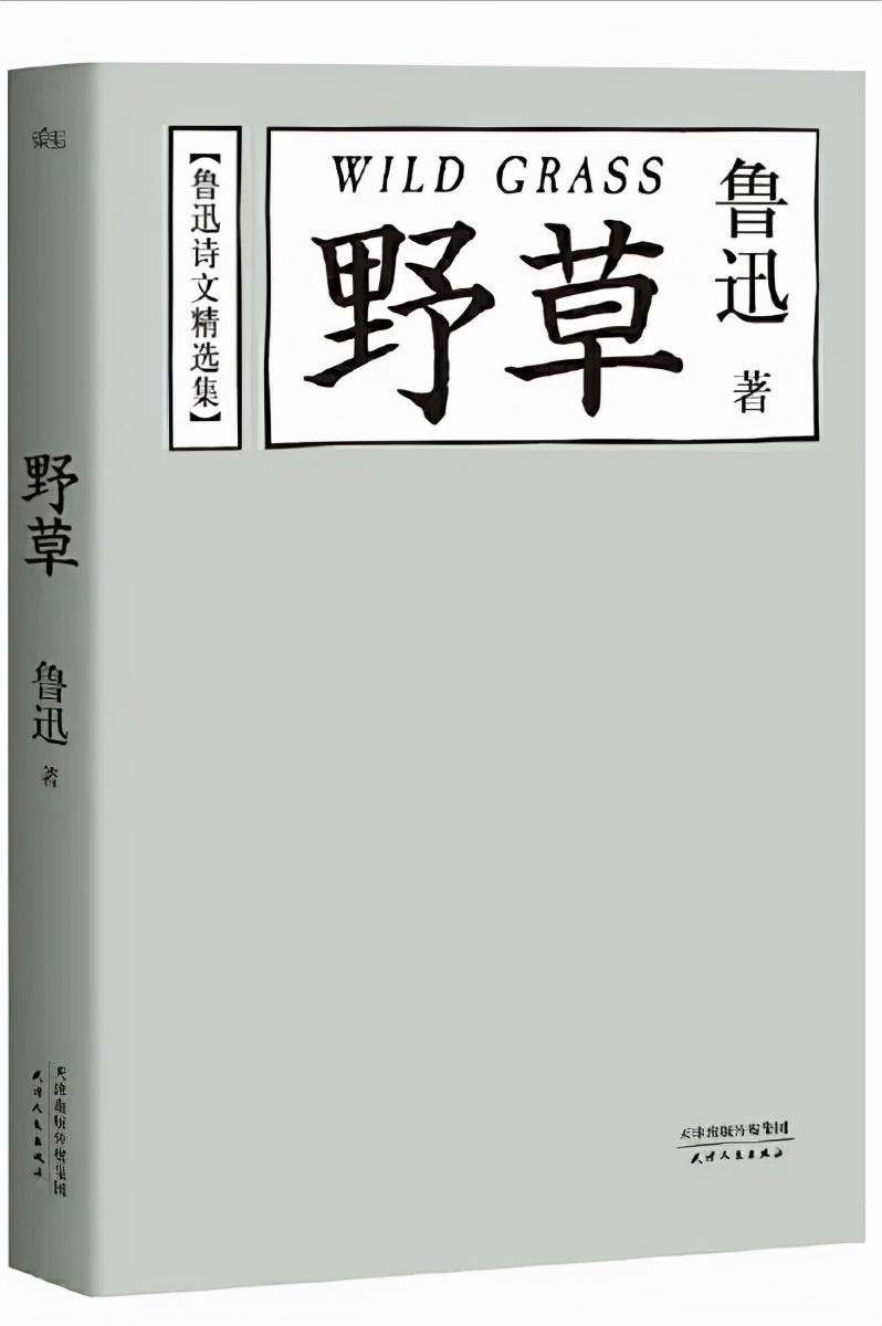 鲁迅代表作(看过这5部鲁迅代表作，才明白他到底牛在哪！)