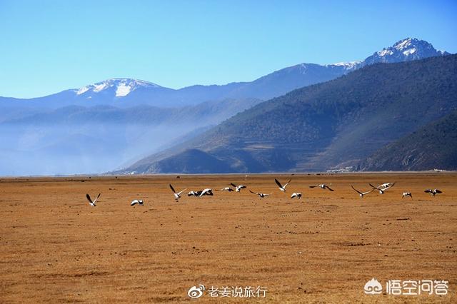 拉市海旅游攻略(去拉市海旅游，有什么攻略值得推荐？)