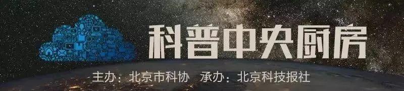 当代毕升(他把汉字装进了电脑！“当代毕昇”王选的三大人生快事)