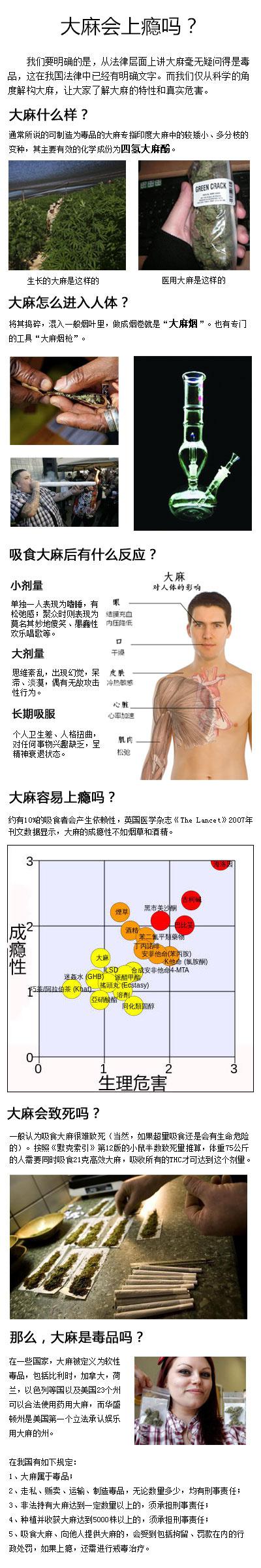 大麻会上瘾吗(戒毒疑问：大麻会上瘾吗？大麻的成瘾性到底如何？)