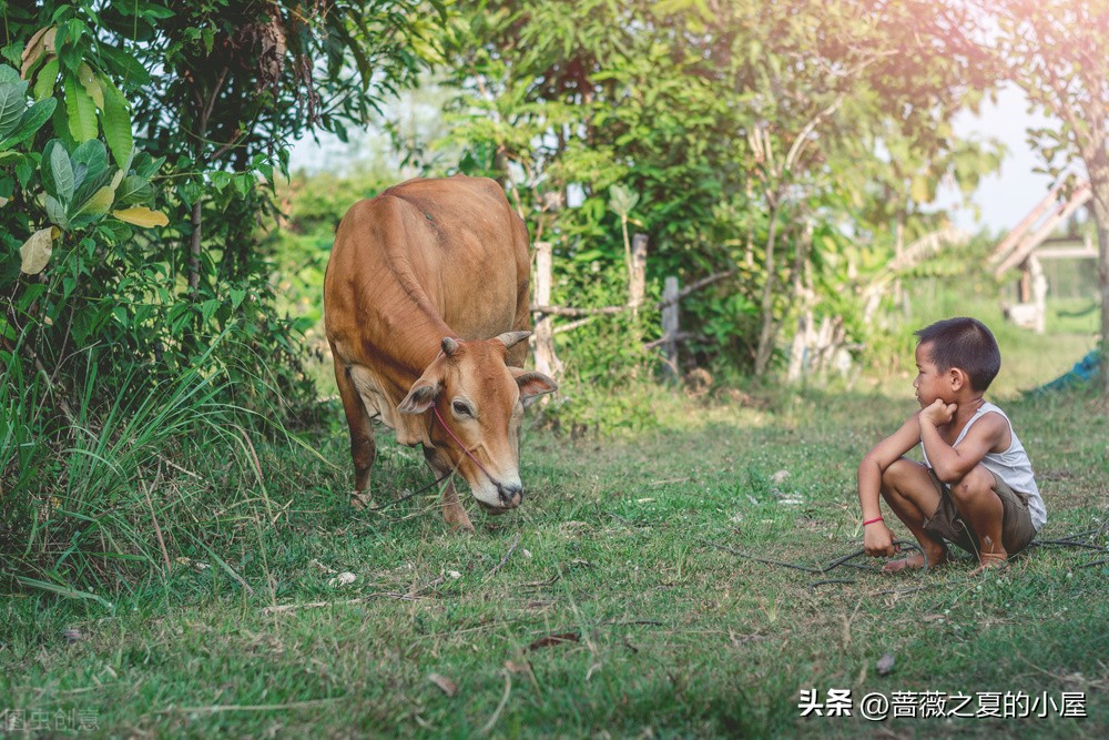 一个中年男人如果没有媳妇没有女人会痛苦到什么程度？