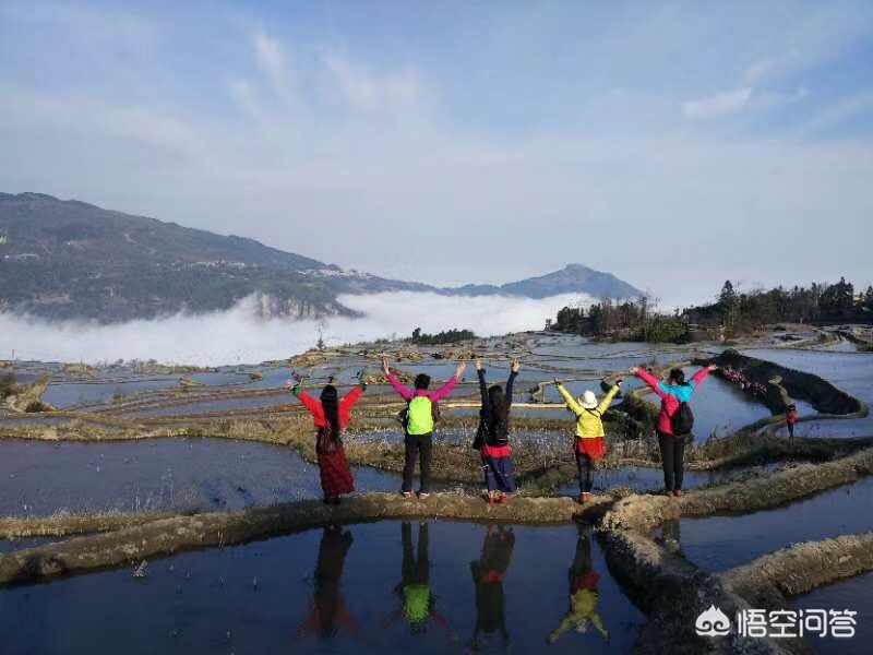 “二十年后富人都住在农村，穷人都住在城里”，你怎么看？