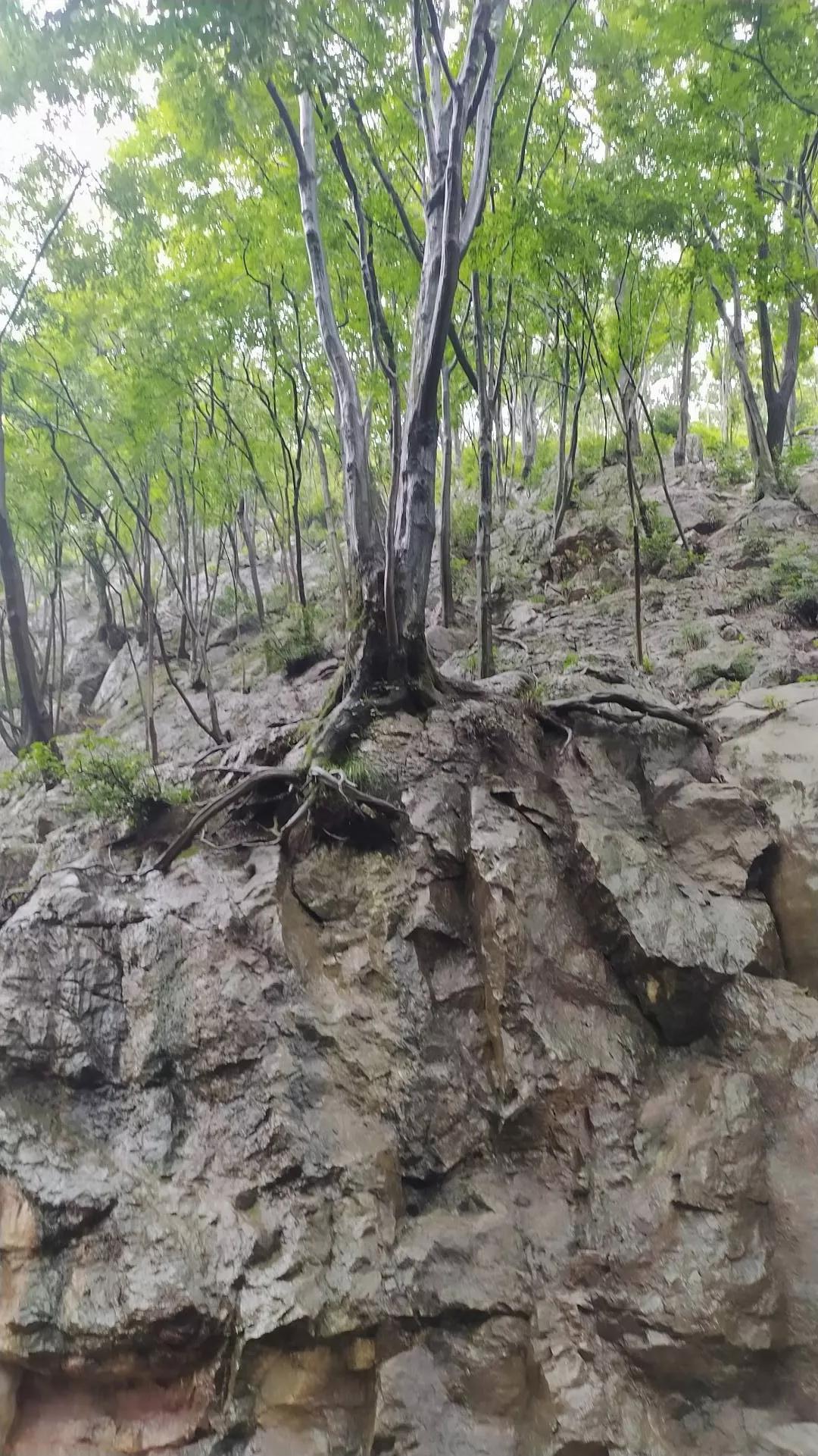 你见过哪些学历很高，但是素质很差劲的人，或者没什么学历但是素质很高的人？