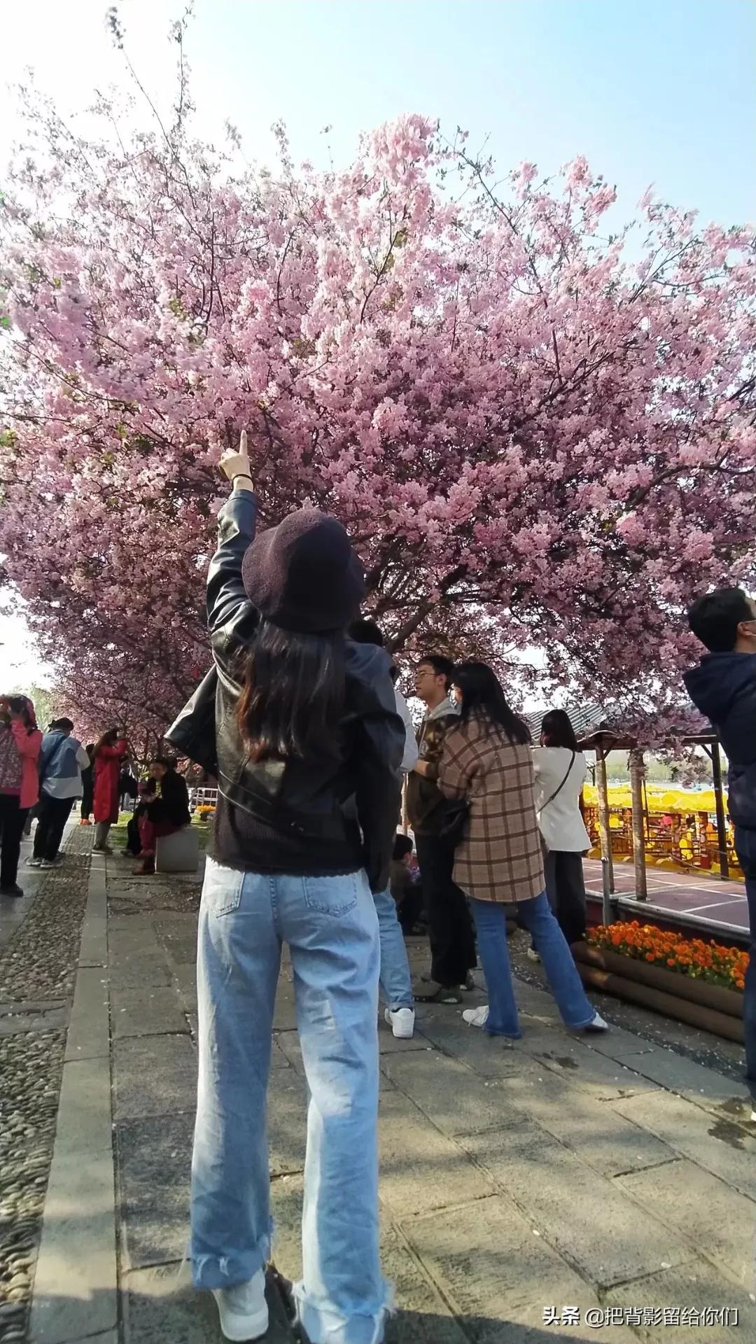 你见过哪些学历很高，但是素质很差劲的人，或者没什么学历但是素质很高的人？