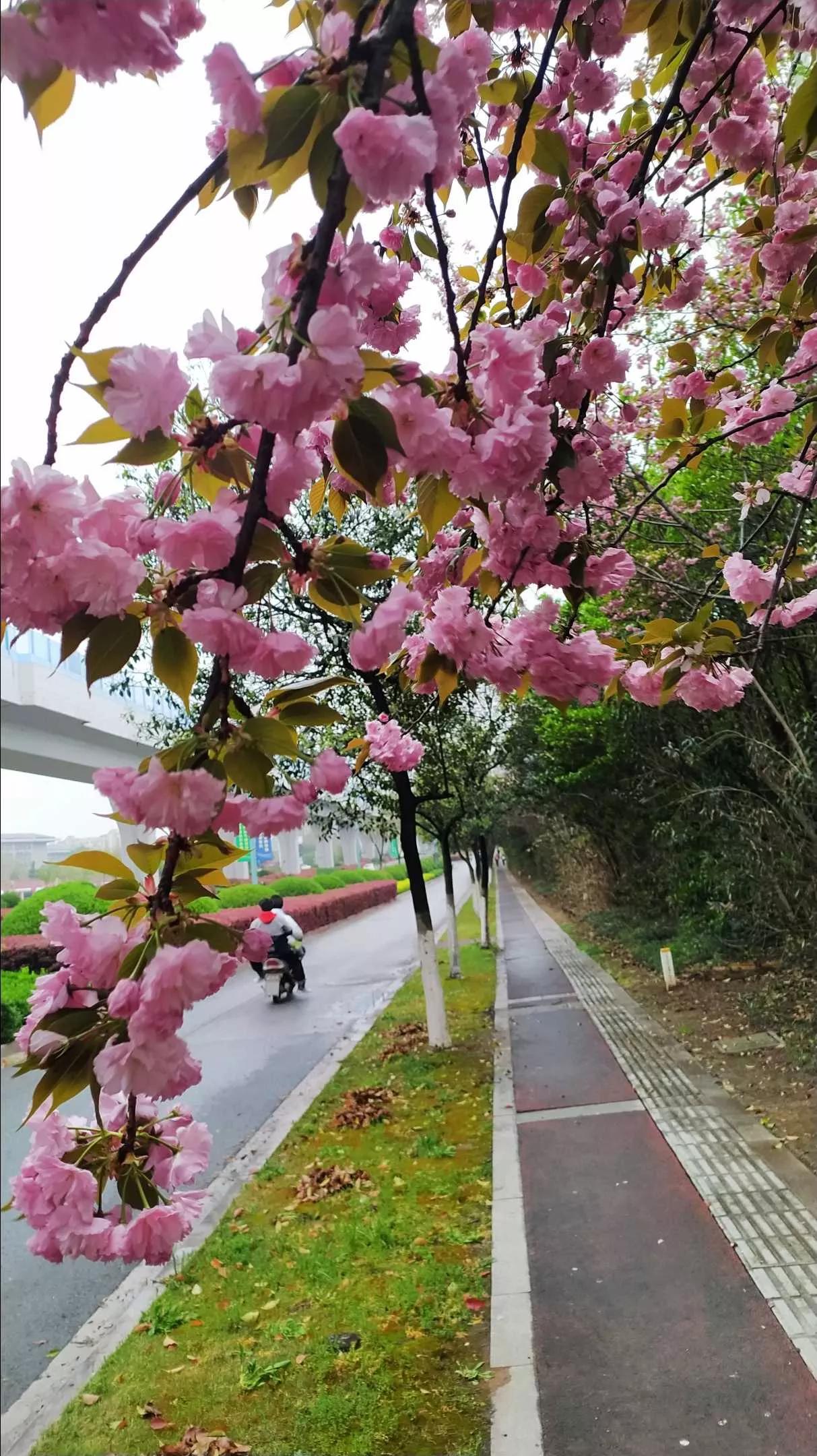 你见过哪些学历很高，但是素质很差劲的人，或者没什么学历但是素质很高的人？