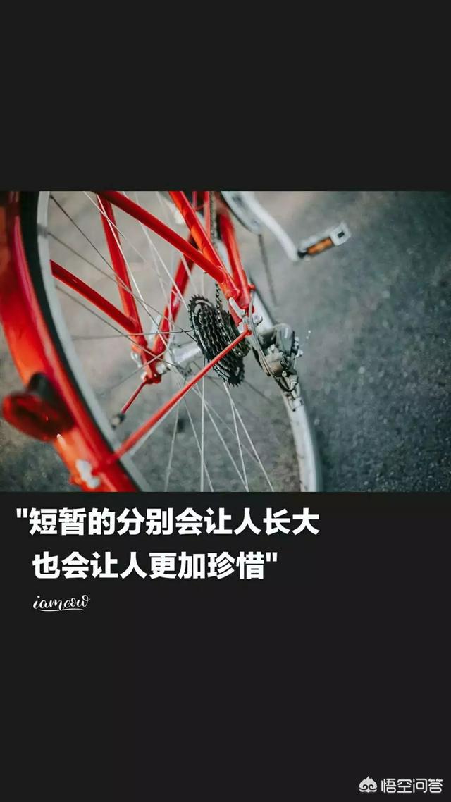 有什么带醒目文字的励志背景图或手机壁纸推荐吗？