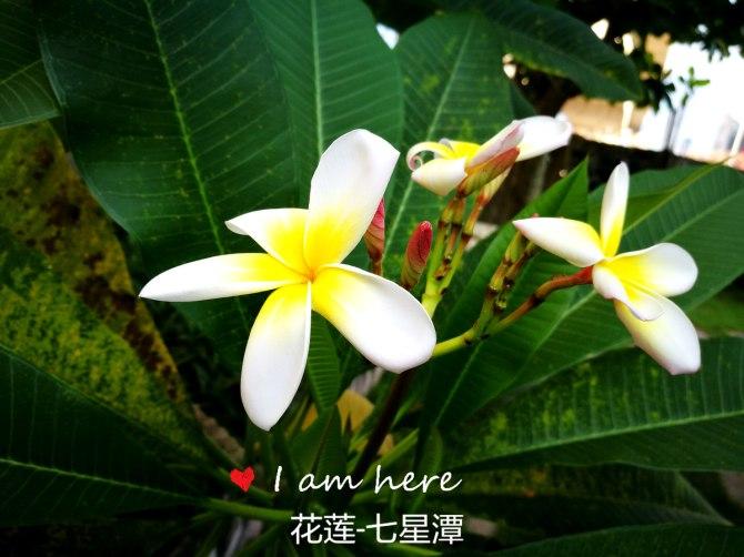 花莲七星潭(天堂般的台湾花莲之七星潭)