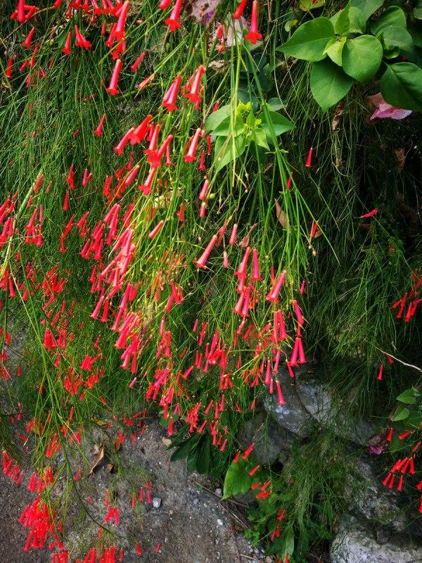 花莲七星潭(天堂般的台湾花莲之七星潭)