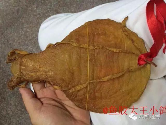 墨西哥石首鱼鱼胶(怎么辨别花胶的真假？)