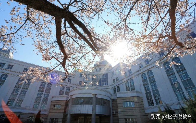 吉林大学和天津大学，你觉得哪个更好一点？