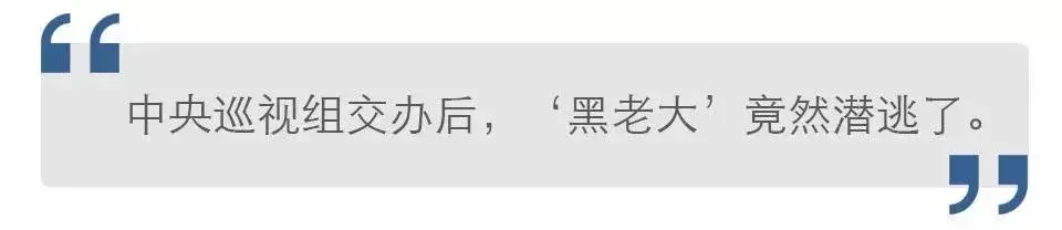 天安社团黑社会(别再扯天安社了，带你认识下真正的黑社会)