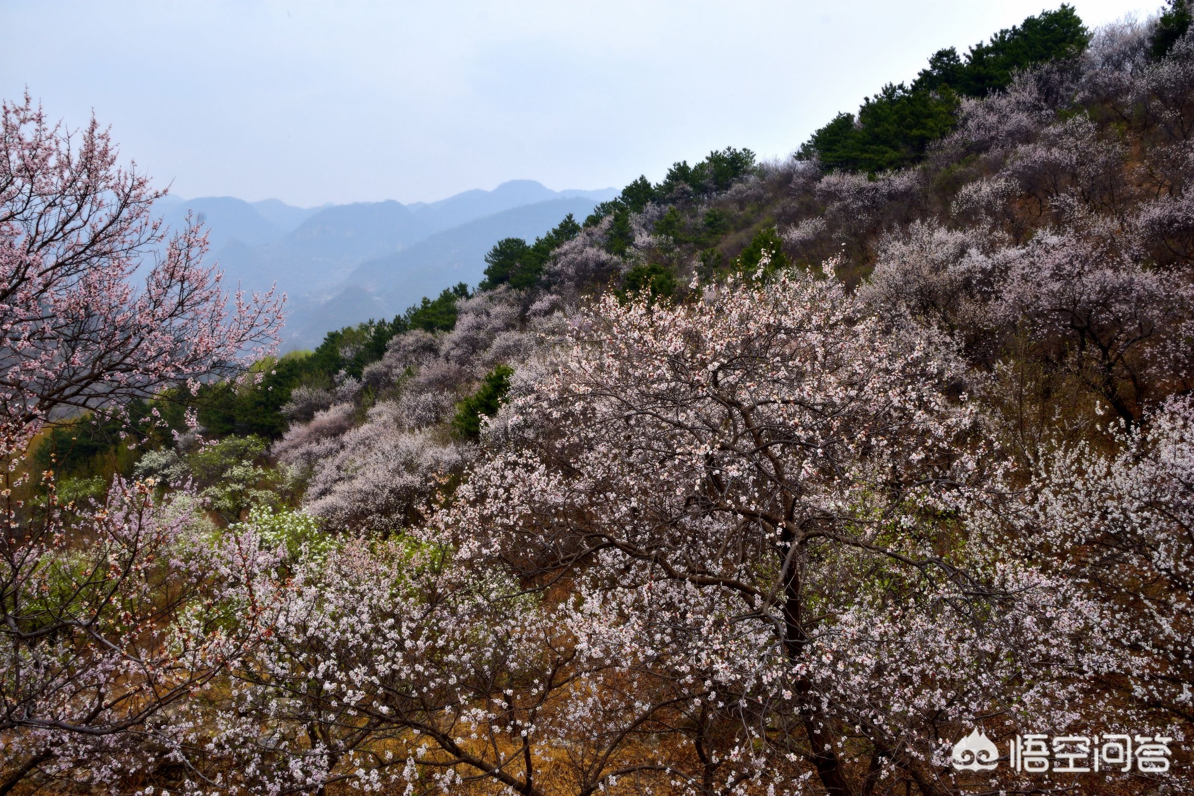 蓟县哪里游山玩水比较好，吃住不贵，经济实惠？