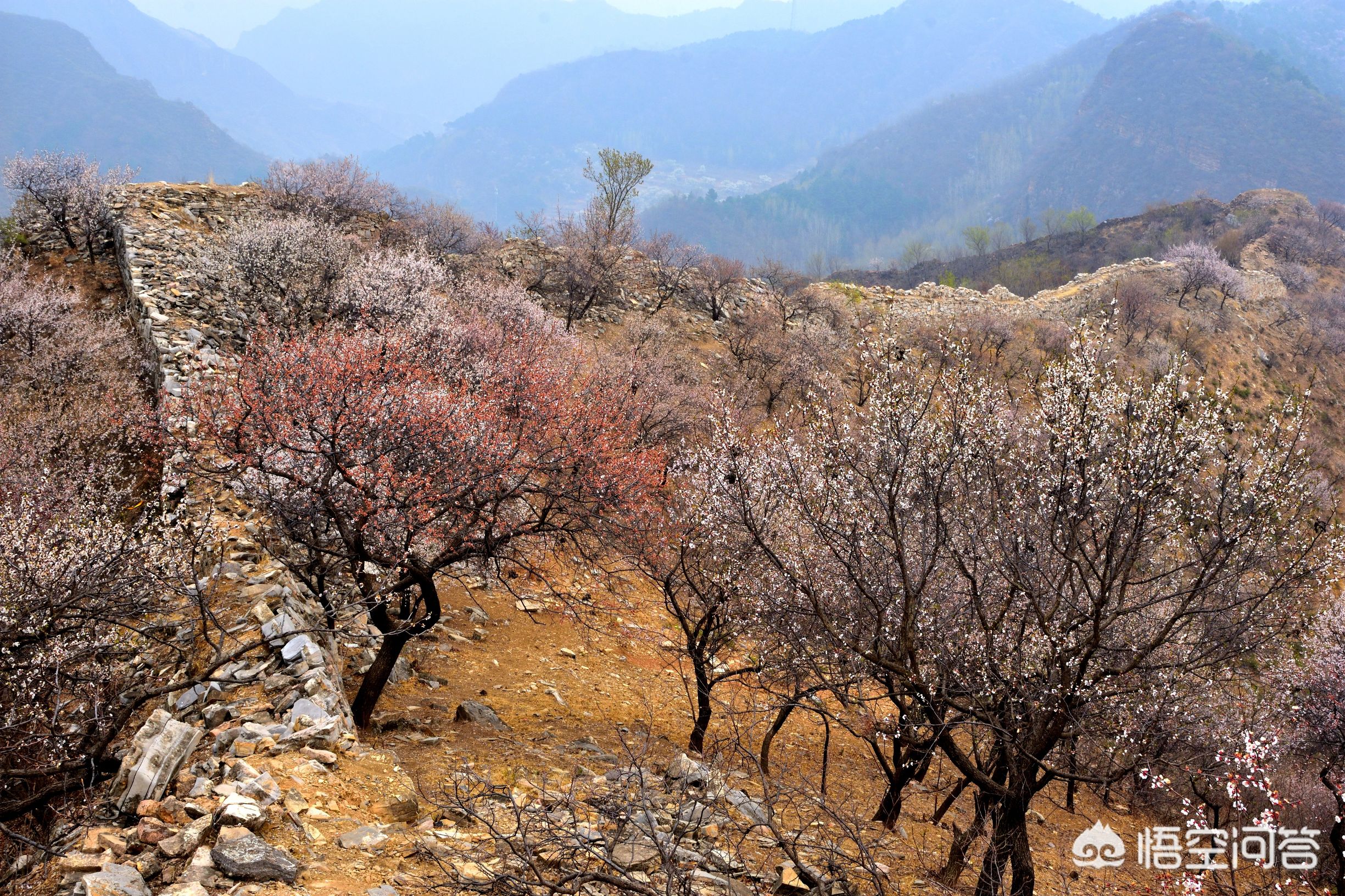 蓟县哪里游山玩水比较好，吃住不贵，经济实惠？