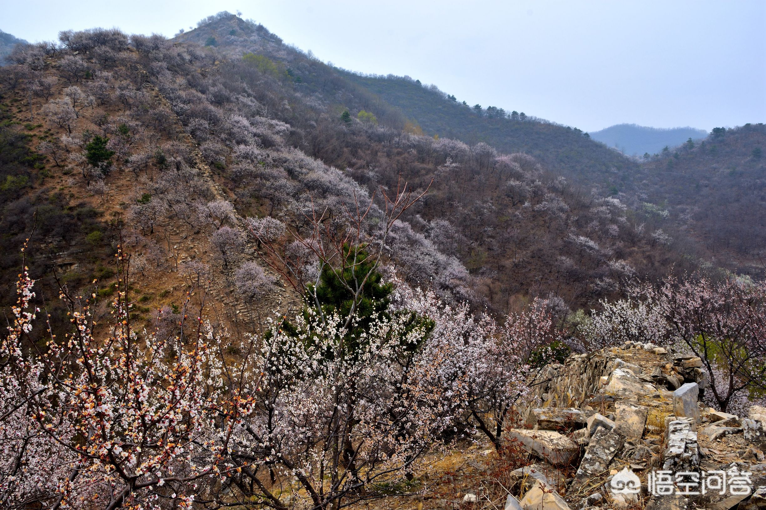 蓟县哪里游山玩水比较好，吃住不贵，经济实惠？