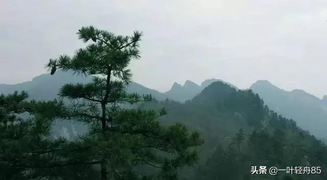 秦岭旅游景点大全(秦岭十大旅游景点都是哪些？)