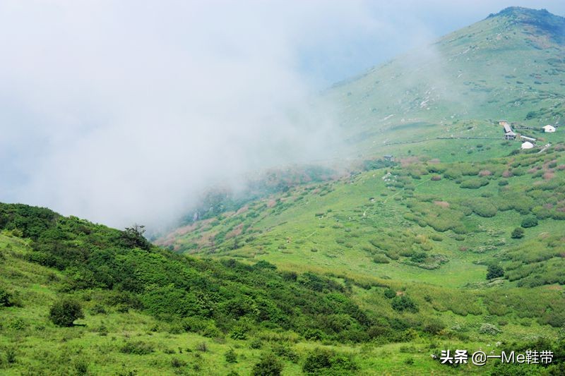 秦岭旅游景点大全(秦岭十大旅游景点都是哪些？)