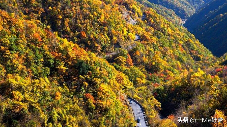 秦岭旅游景点大全(秦岭十大旅游景点都是哪些？)