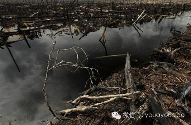 愤怒的地球(愤怒的地球：大自然不可抵挡之力)