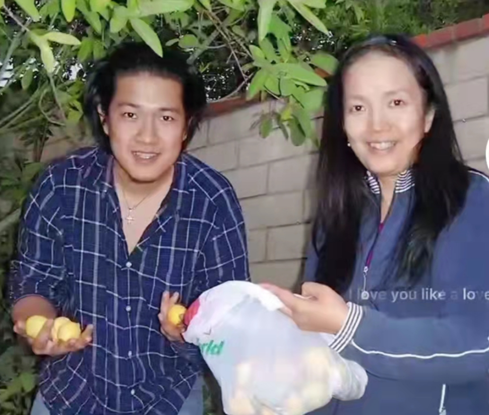 张丰毅老婆霍凡(霍凡：嫁给大12岁张丰毅，结婚28年却不要孩子，她到底图什么？)