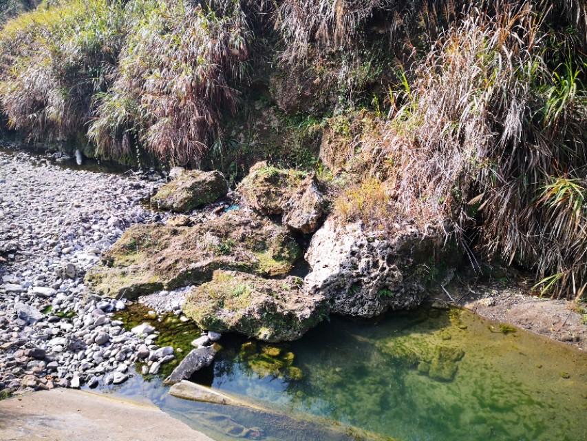 吸水石产地在哪里(吸水石在什么地方会比较多？)